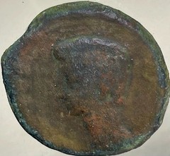 Emperor Augustus 19BC-14AD Colonia Patricia Province Ancient Roman Coin Octavian