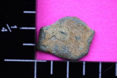 Widows Mite Coin Holy Land Artifact Free Display Card Jesus Christ Lifetime 158