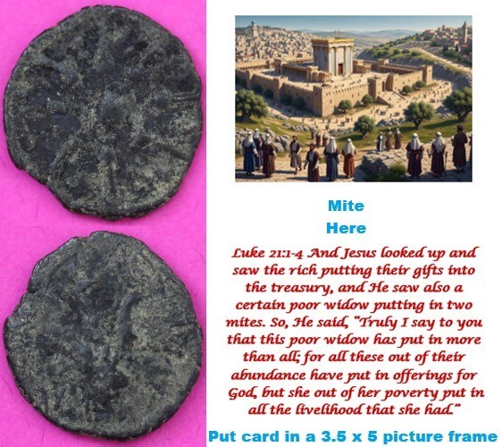 Widows Mite Coin Holy Land Artifact Frameable Display Card Jesus Era COA @G842