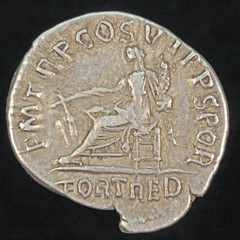 Roman Coin Trajan AR Denarius Fortuna Rudder FORT RED in exergue Rome 116 AD.