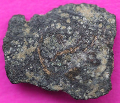 Widows Mite Coin Holy Land Artifact Jesus Christ Time Frameable Display COA 155