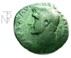 Ancient Imperial Rome-Tiberius Mint (Augustus) As-Eagle