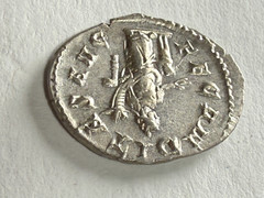 Herennnia Etruscilla / Wife of Decius AR Antoninianus Roman Empire AD 249-251