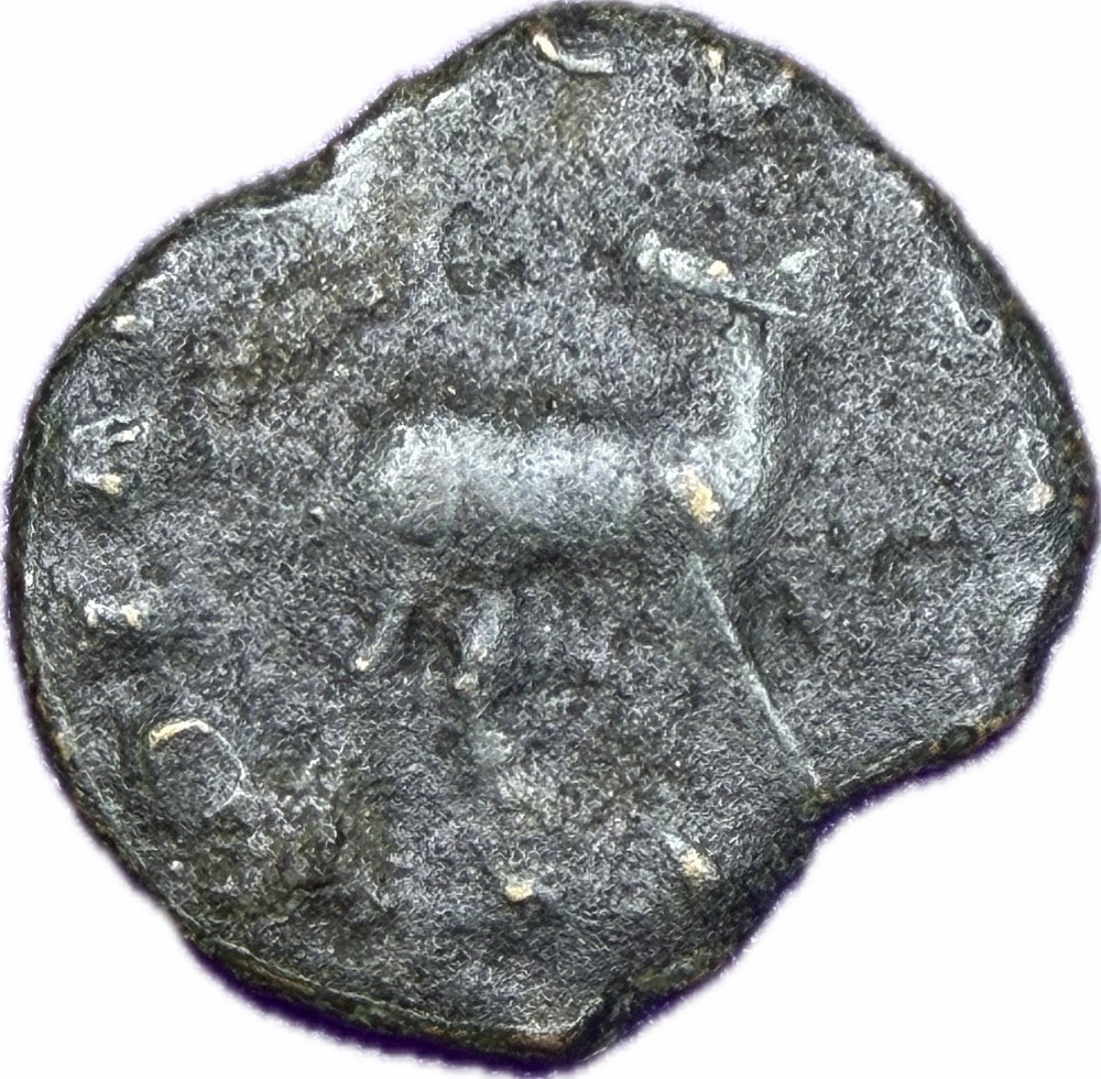 Ancient Roman Gallienus Zoo Series Coin DIANAE CONS AVG Deer Doe Reverse 1.9g