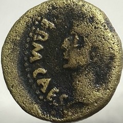 Emperor Octavian Augustus 19BC-14AD Colonia Patricia Province Ancient Roman Coin