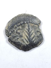 AE Prutah Porcius Festus ROMAN GOV. OF JUDEA 52- 60 A.D. Palm Branch