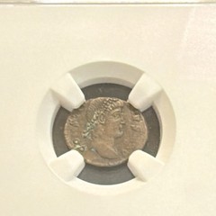Constantius II Roman Empire AD 337-361 Nummus Billon Coin NGC XF Certified