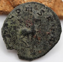 Roman Imperial | Gallienus | AE Antoninianus | Rome | PEGASUS | ZOO SERIES | SOL