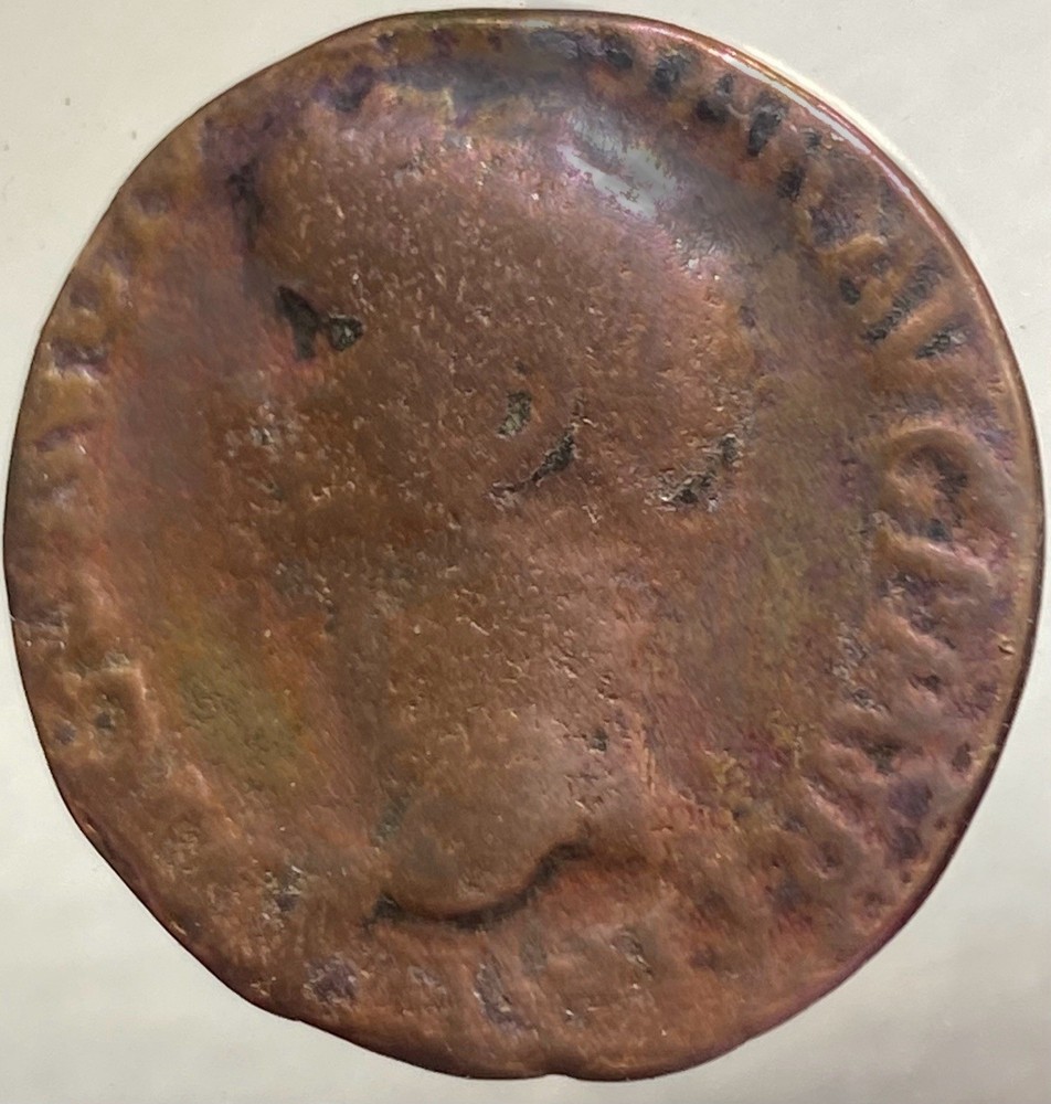 Roman Emperor Claudius Large Ancient Coin 41AD-50AD Minerva with Shield Genuine