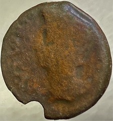 14BC-10BC Emperor Augustus Ancient Roman Province Julia Traducta Coin Octavian