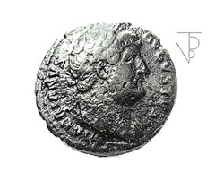 Impero Romano (ADRIANO) ASSE-SALUS