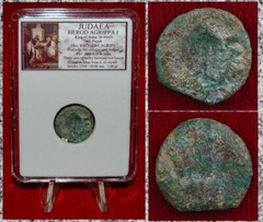 Ancient Coin JUDAEA Prutah HEROD AGRIPPA I Appointed By Caligula Jerusalem Mint