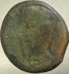 14BC-10BC Emperor Augustus Ancient Roman Province Julia Traducta Coin Octavian