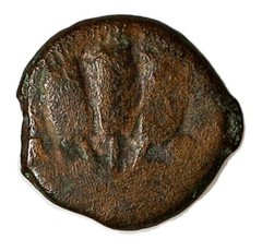 JUDEA Prutah HEROD AGRIPPA I Umbrella & Grain Ears Ancient Jewish Coin H1244 455