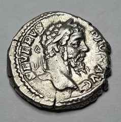 Ancient Rome Denarius SEPTIMIUS SEVERUS Silver LIBERALITAS VF Scarce #C36