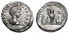 *AET* GETA AR Denarius. VF+/EF-. Laodicea mint. Priestly implements.