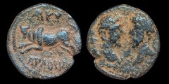 Roman Marcus Aurelius & Lucius Verus AE 23 Bull Leaping Phenicia Arados Aradus R