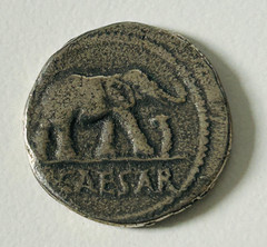 Julius Caesar AR Denarius Silver Elephant Coin 44 BC WRL Westair Collectible..